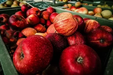 Gran Feria de la Manzana y Valle de Piedras Encimadas